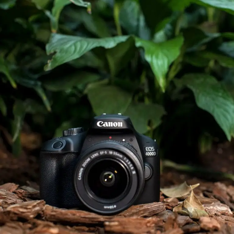 Les Meilleurs Appareils Photo Reflex De Canon - Photosavi