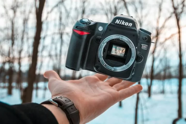 Meilleurs Appareil Photo Reflex Á Moins De 500 Euros