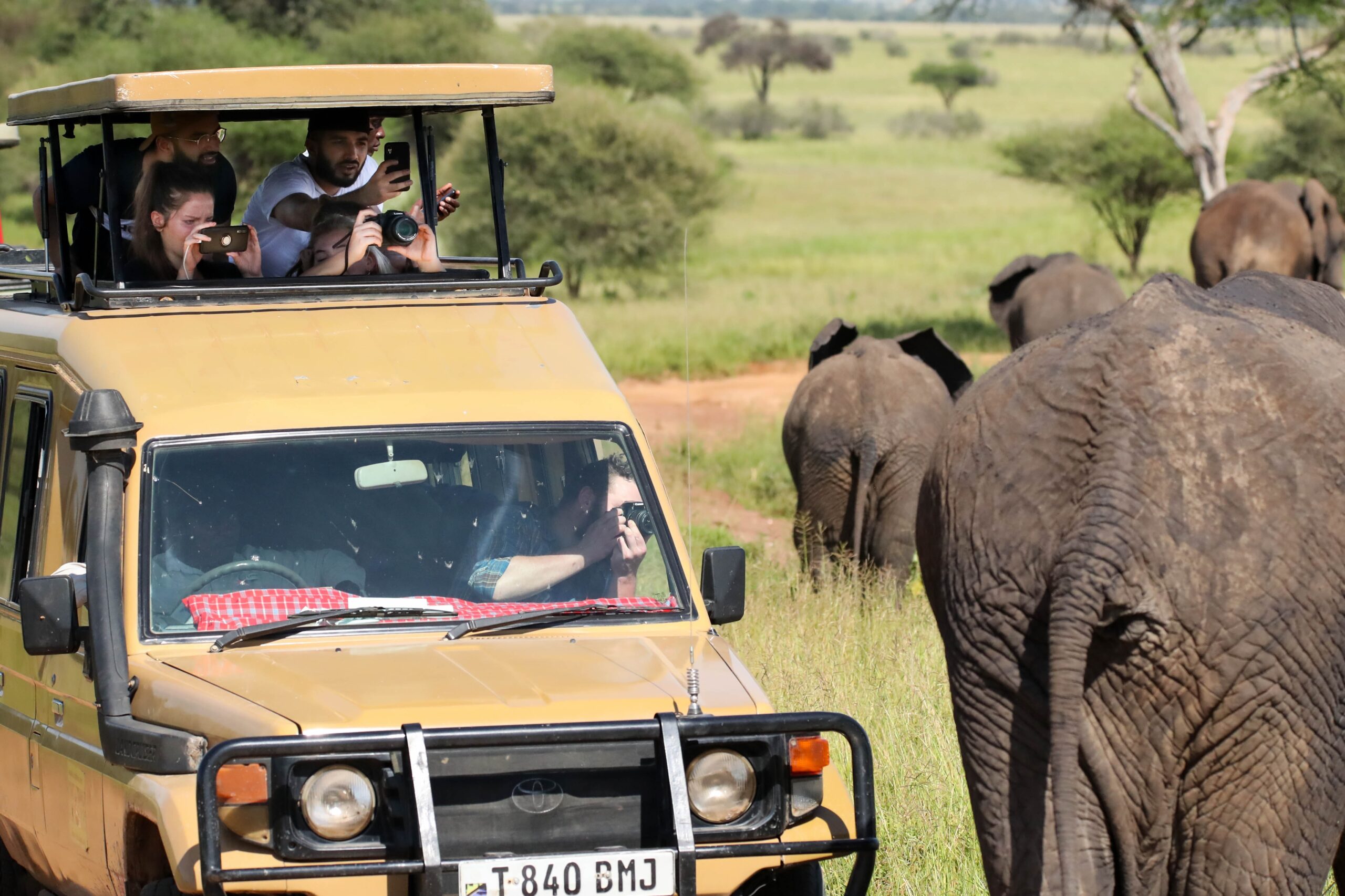 appareil-photo-pour-safari