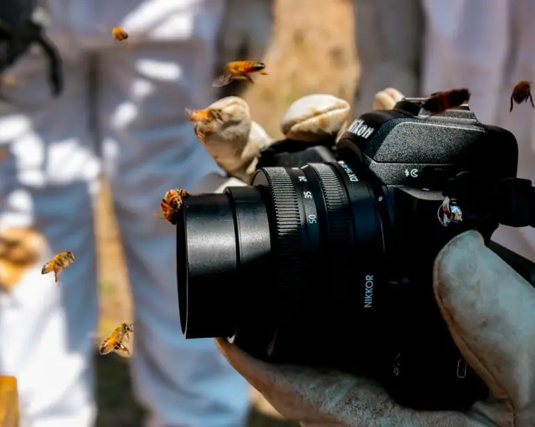 appareil photo debuter en macro