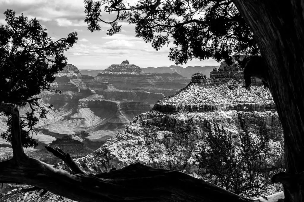 Faites plus attention à ceci et votre photographie s’améliorera2