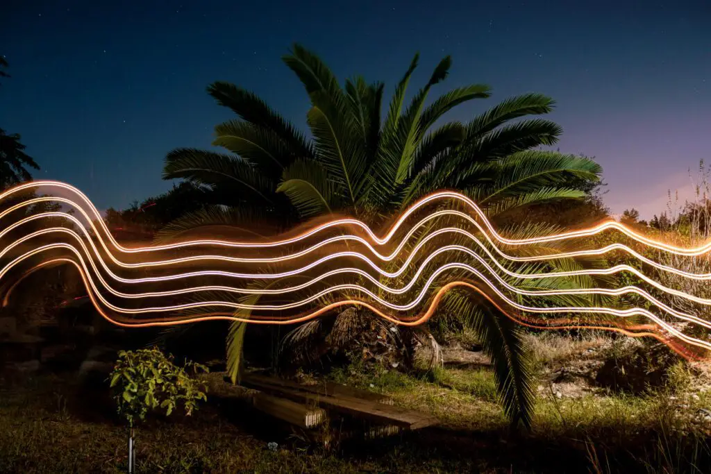 trainee de lumiere